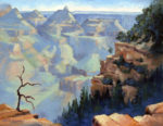 Along Desert Drive ~ Grand Canyon NP
