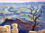 Grand View ~ Grand Canyon NP